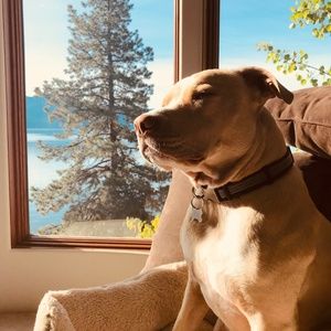 Meet your Posher, Haley